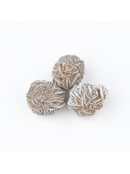 Desert rose: property, meaning and uses