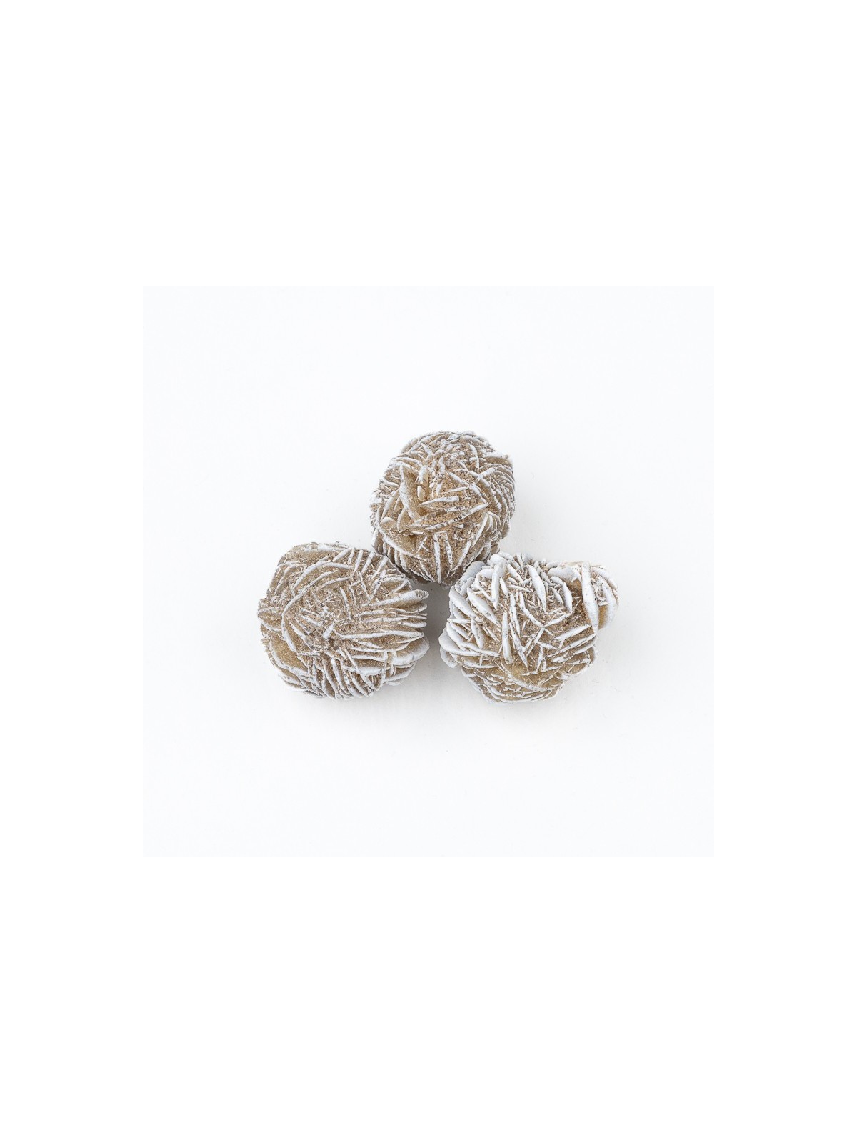 Desert rose: property, meaning and uses