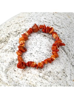 Corllite: propriété, signification, usages et prix