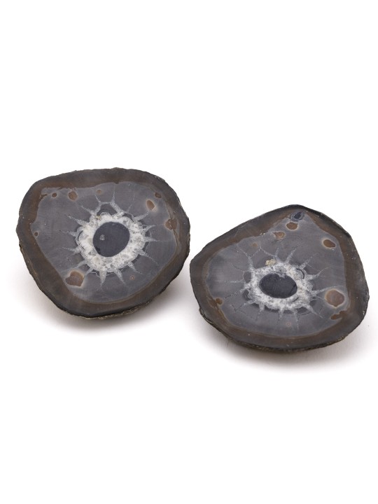 Septaria