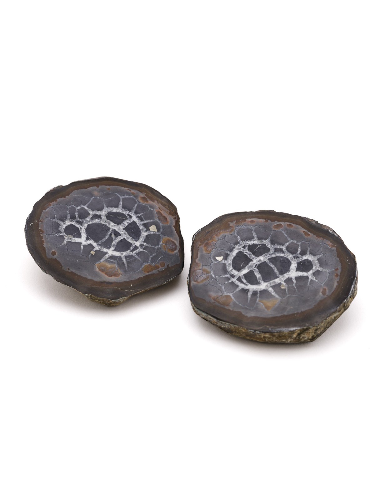 Septaria