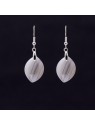 Discover our products in Agata