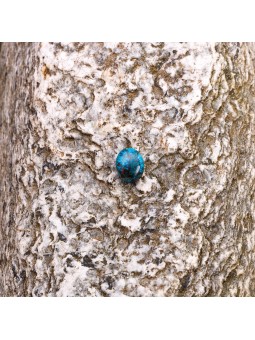 Entdecken Sie den Shattuckit, seltener und wunderbarer Stein