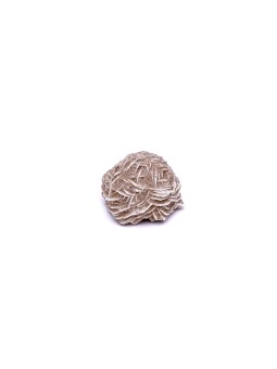 Desert rose: property, meaning and uses