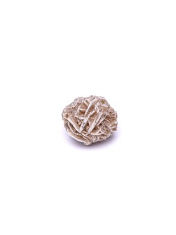 Rosa del Deserto: Proprietà, Significato e Usi