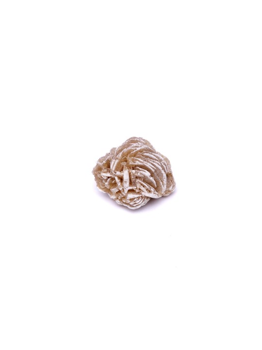 Desert rose: property, meaning and uses