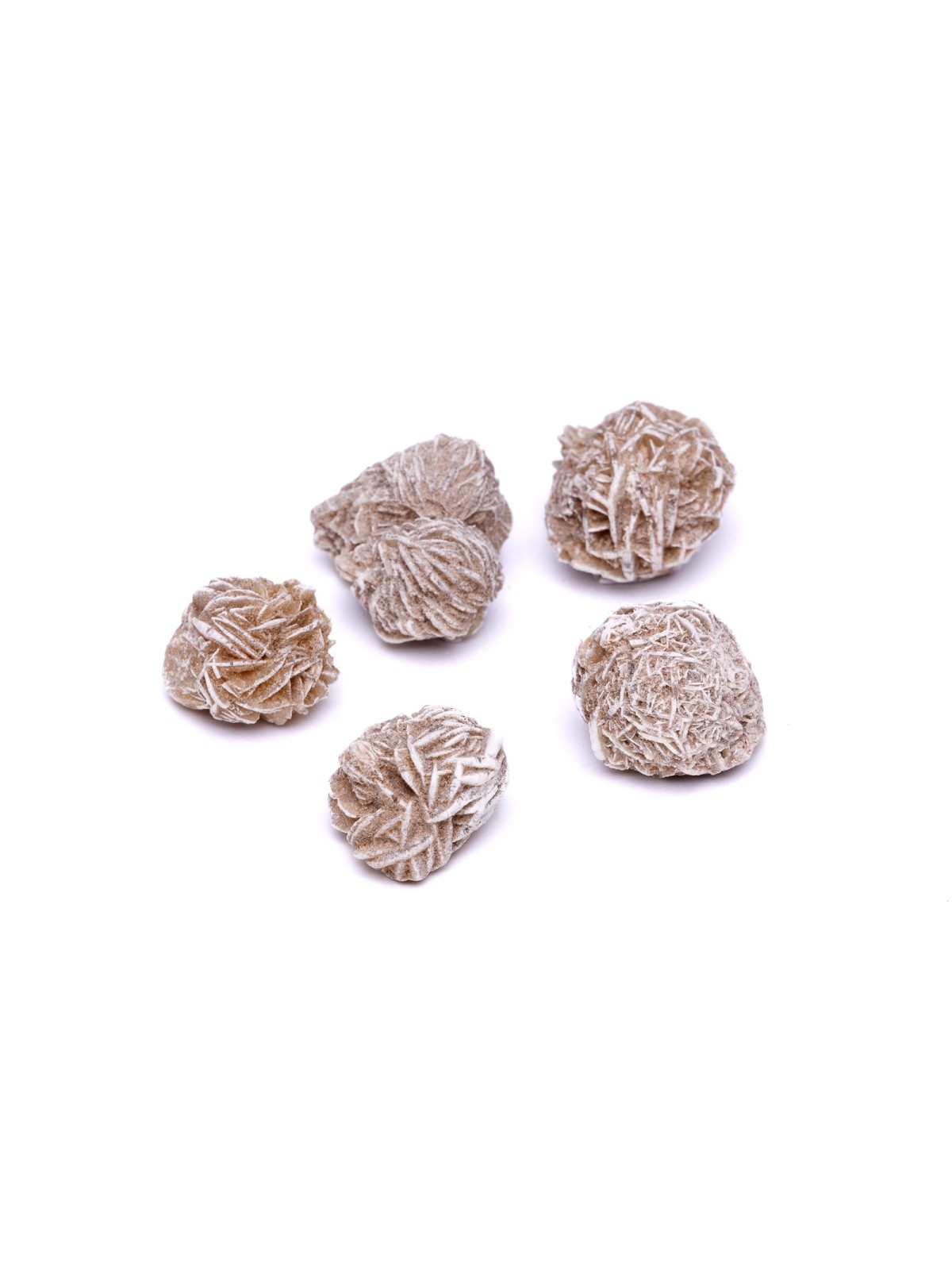 Desert rose: property, meaning and uses