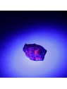 Fluorescent raw detodate