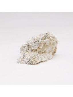 Fluorescent white calcite rose