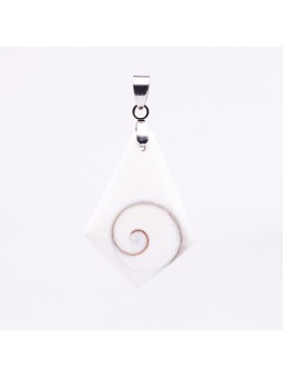 Operculus: Properties, Uses and Benefits