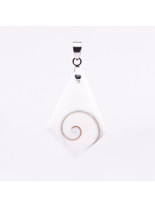 Operculus: Properties, Uses and Benefits