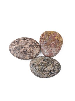 Jasper Leopard: Eigentum, Bedeutung und Verwendungen