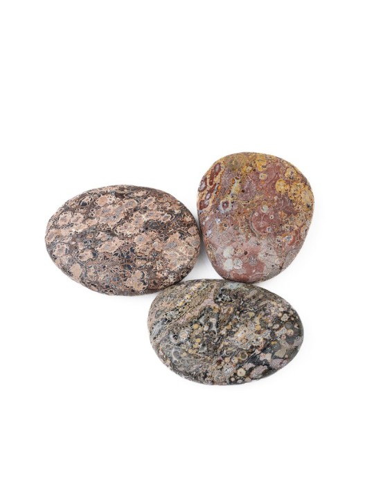 Jasper Leopard: property, meaning and uses
