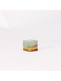 Descubre nuestros fluores arcoiris