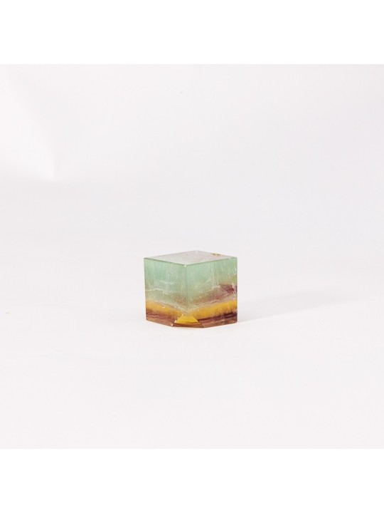 Descubre nuestros fluores arcoiris
