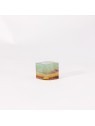 Descubre nuestros fluores arcoiris