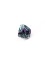 Descubre nuestros fluores arcoiris