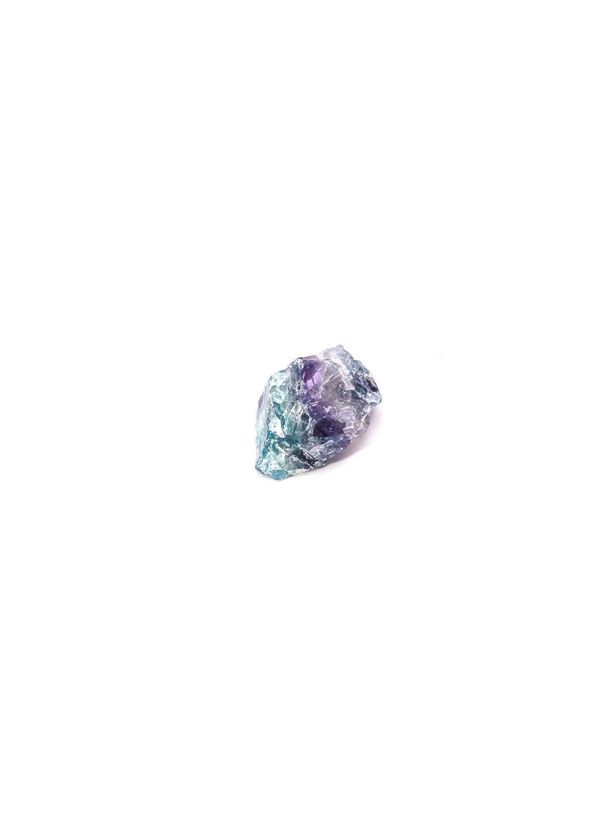 Descubre nuestros fluores arcoiris