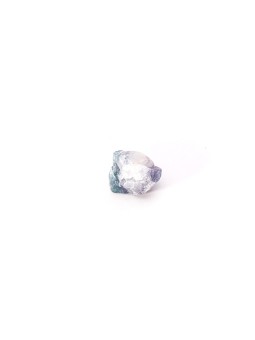 Descubre nuestros fluores arcoiris