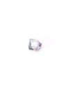 Descubre nuestros fluores arcoiris