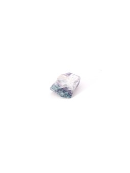 Descubre nuestros fluores arcoiris