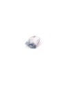Descubre nuestros fluores arcoiris
