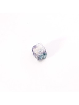 Descubre nuestros fluores arcoiris