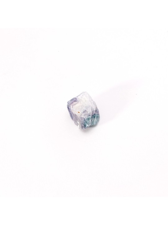 Descubre nuestros fluores arcoiris