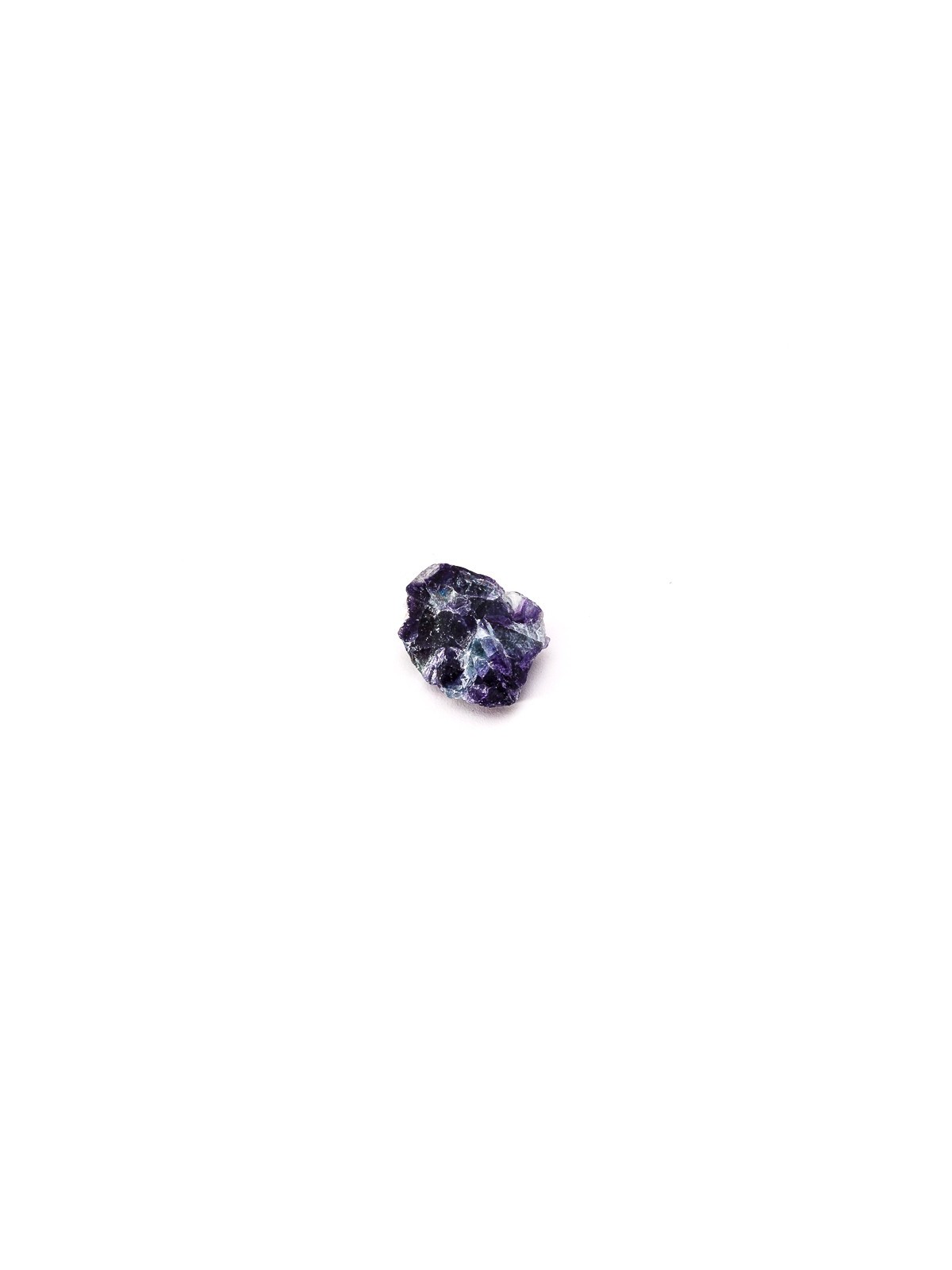 Descubre nuestros fluores arcoiris