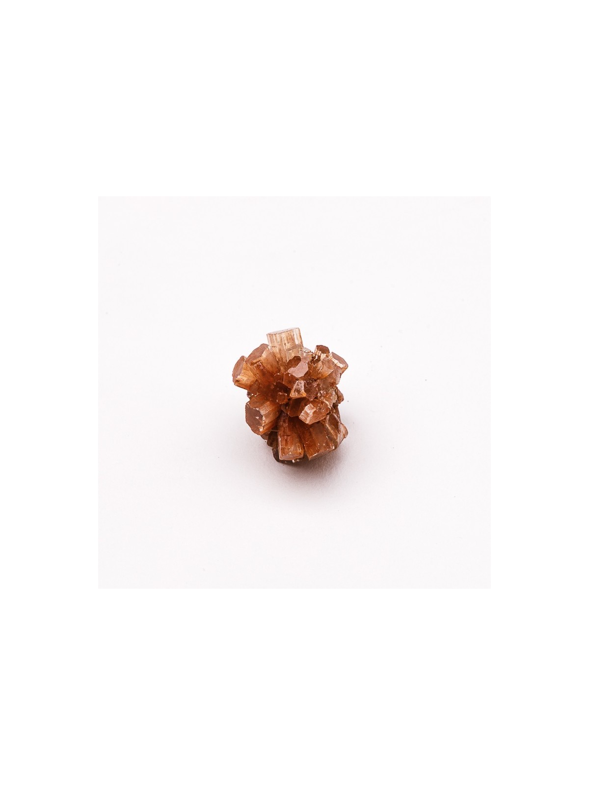 Aragonite grezza cluster