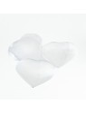 Heart in Selenite