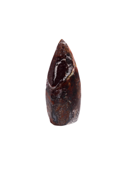 Freeform in Agata Crazy Mexican Spitze