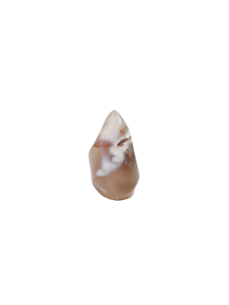 Découvrez nos flammes en Agata Orca