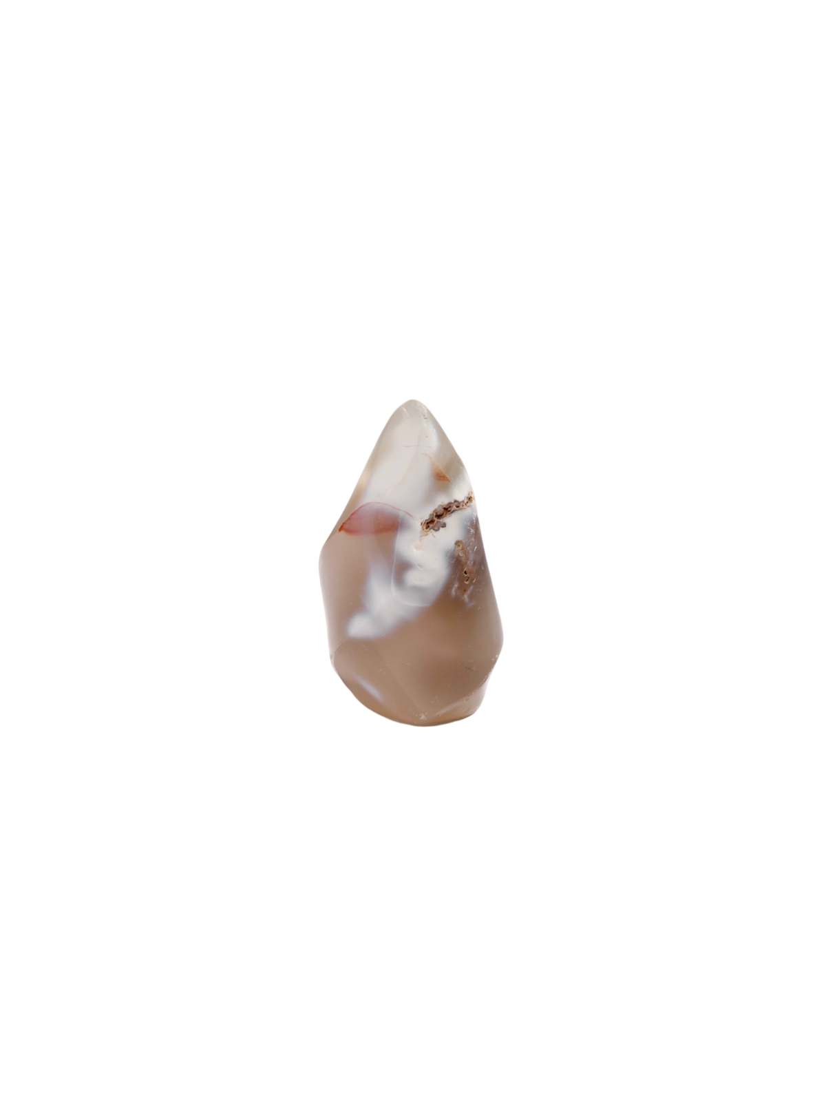 Descubre nuestras llamas en Agata Orca