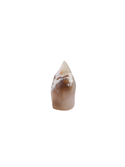 Découvrez nos flammes en Agata Orca