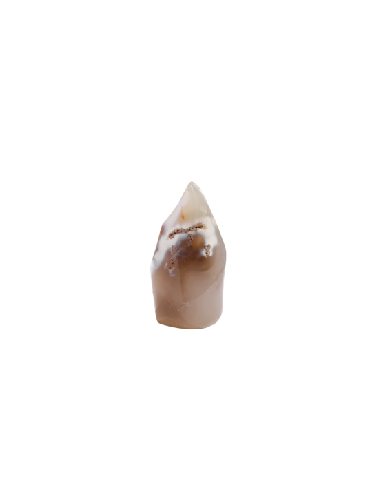 Entdecken Sie unsere Flammen in Agata Orca