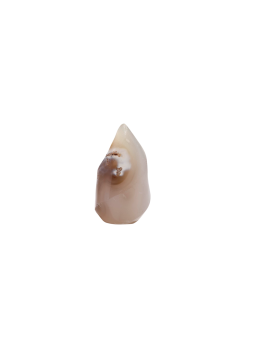 Découvrez nos flammes en Agata Orca