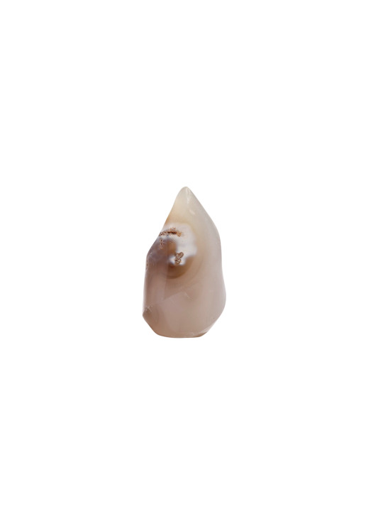 Entdecken Sie unsere Flammen in Agata Orca