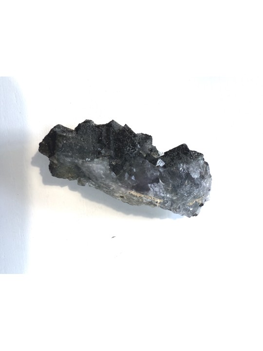 Descubre nuestros fluores