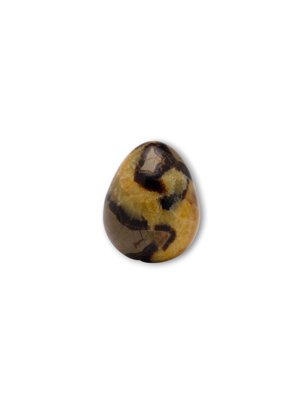 Septarien - Dracheneier