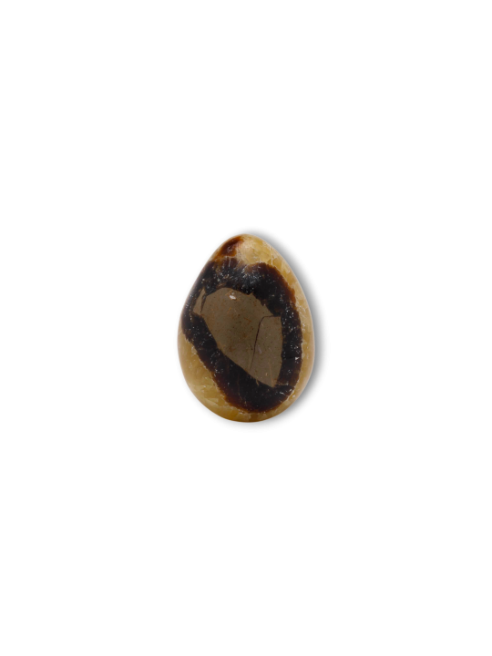 Septaria - huevos de dragón