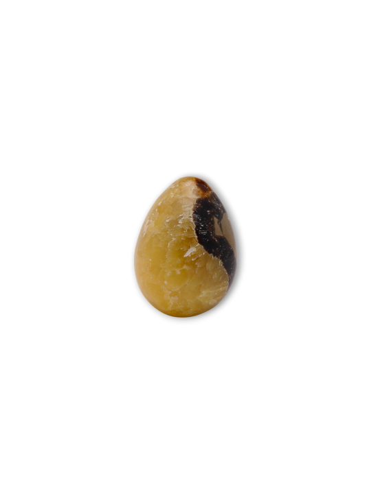 Septaria - huevos de dragón