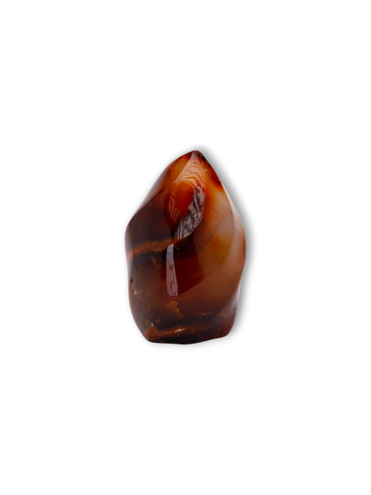 Flammes Carcorner de haute qualité