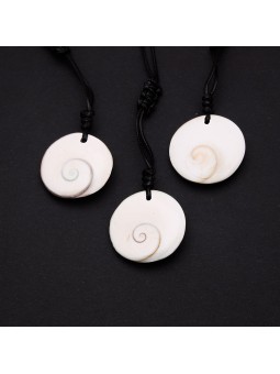 Operculus: Properties, Uses and Benefits