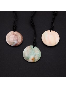 Opercolo: Eigenschaften, Verwendungen und Vorteile