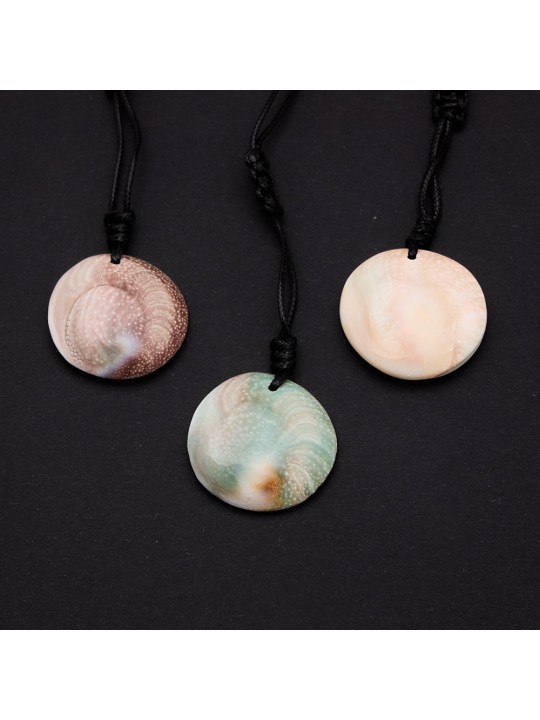 Opercolo: Eigenschaften, Verwendungen und Vorteile