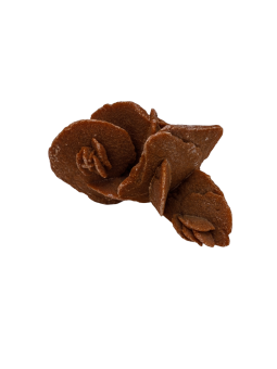 Désert Rose: propriété, signification et usage