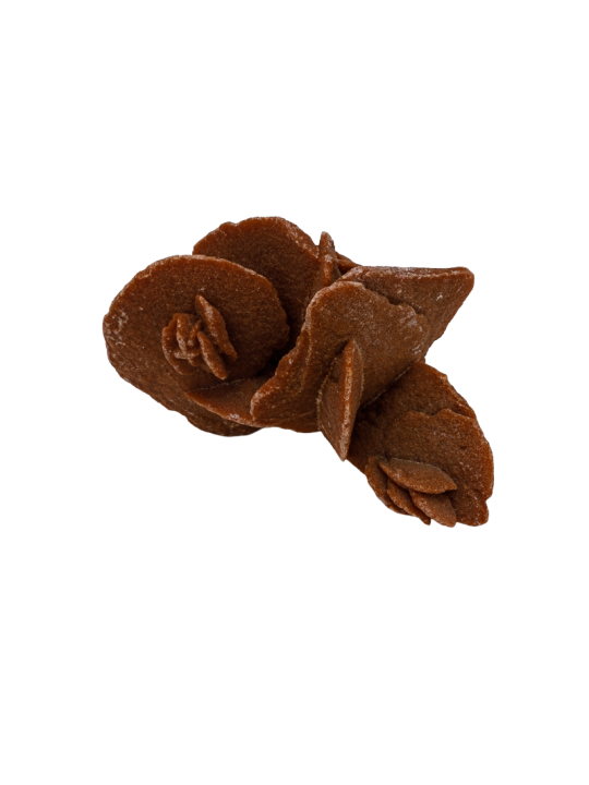 Rosa del Deserto: Proprietà, Significato e Usi