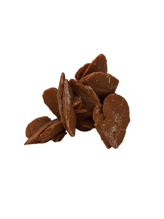 Desert rose: property, meaning and uses