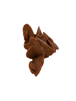 Desert rose: property, meaning and uses